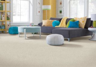 Off white pet friendly carpet