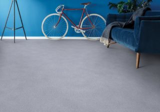 Banjo gray pet friendly carpet