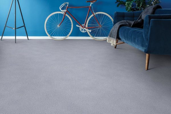 Banjo gray pet friendly carpet