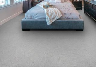 Bogie light gray pet protect carpet