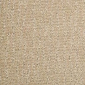 Brizo beige carpet sample