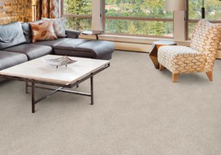 off white pet friendly carpet in a living room