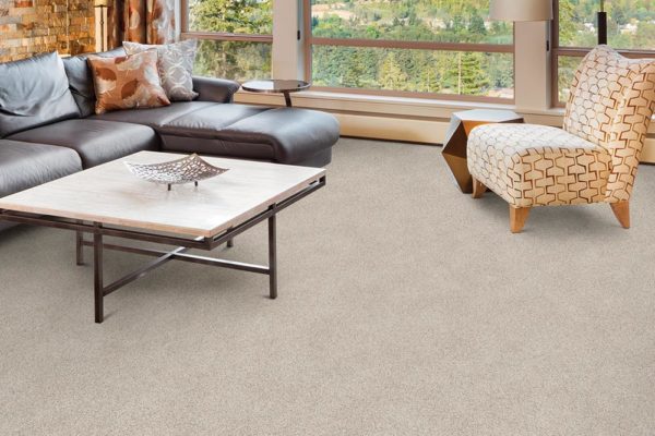 off white pet friendly carpet in a living room