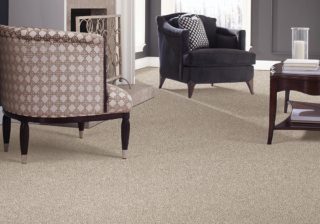 Daisy pet friendly carpet