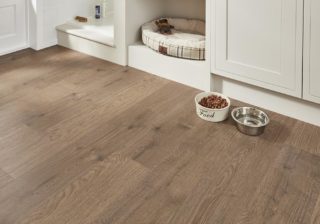 Design Statement Pet Friendly Flooring with dog dishes