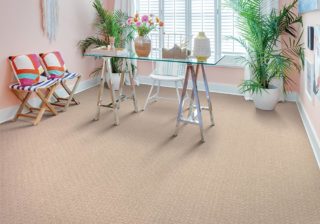 Brown pet friendly carpet in a bedroom