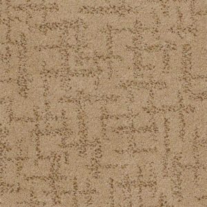 In Thing tan carpet sample