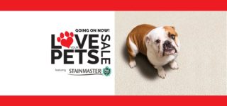 Love Your Pets slider with dog and red bars