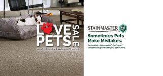 Stainmaster pet-friendly carpet