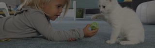 Pet Friendly Flooring Header