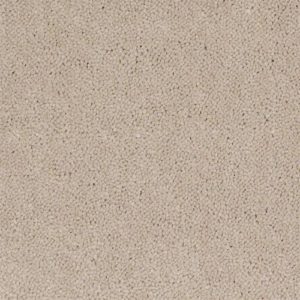 Revolutionary beige carpet sample