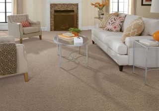 Minimalist pet friendly carpet