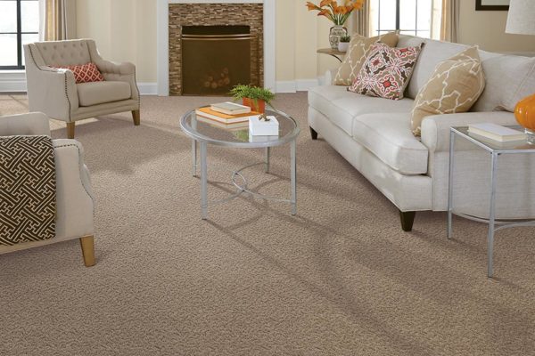 Minimalist pet friendly carpet