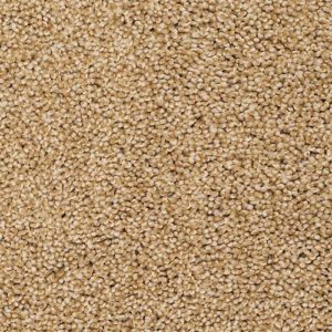 Tailored Touch tan carpet sample