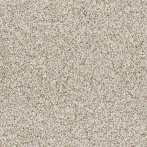 Texture Tonal carpet sample