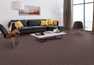 Tucker pet friendly flooring